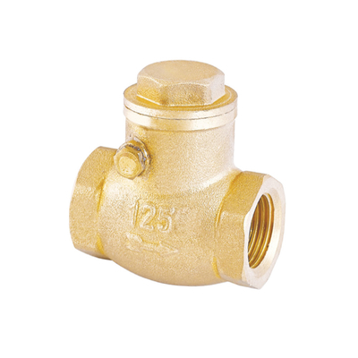 रस्टप्रूफ वन वे वाटर चेक वाल्व 32mm 22mm नॉन रिटर्न वाल्व