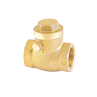 रस्टप्रूफ वन वे वाटर चेक वाल्व 32mm 22mm नॉन रिटर्न वाल्व
